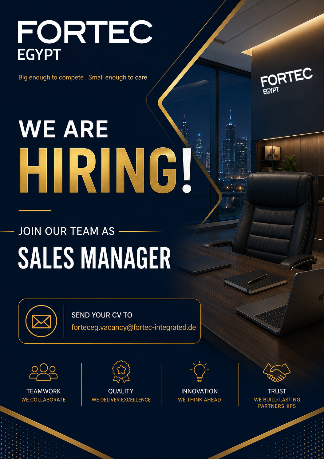 Job Title Sales Manager
