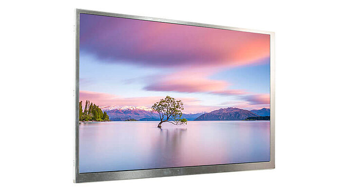 Cost-Effective, Long-Term Available 10.1" TFT Display
